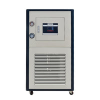 Cooling Recirculating Chiller with 40L/min Pump | DLSB-10040 | West Tune - ExtractionSolution